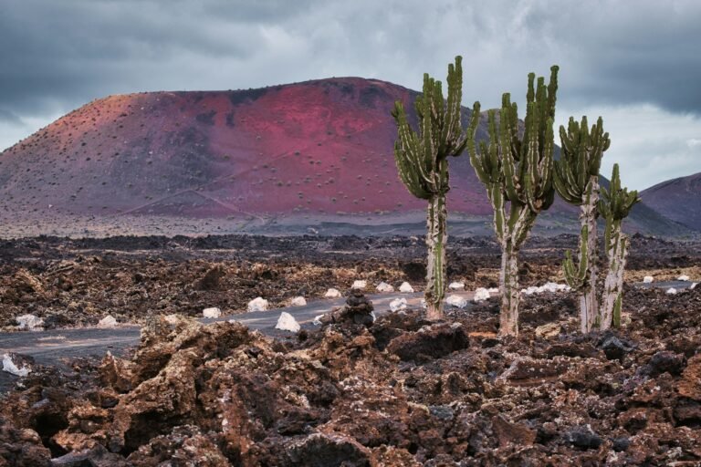 Lava Rock: Nature’s Stunning Creation