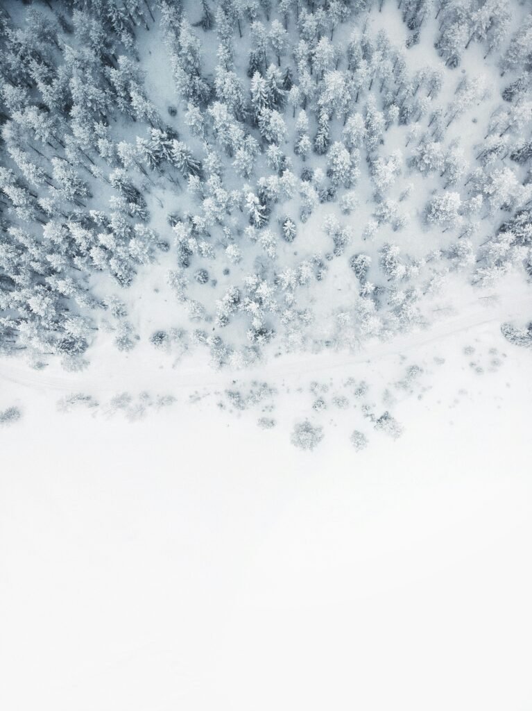 snow caps weed