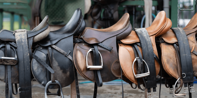 saddle bag