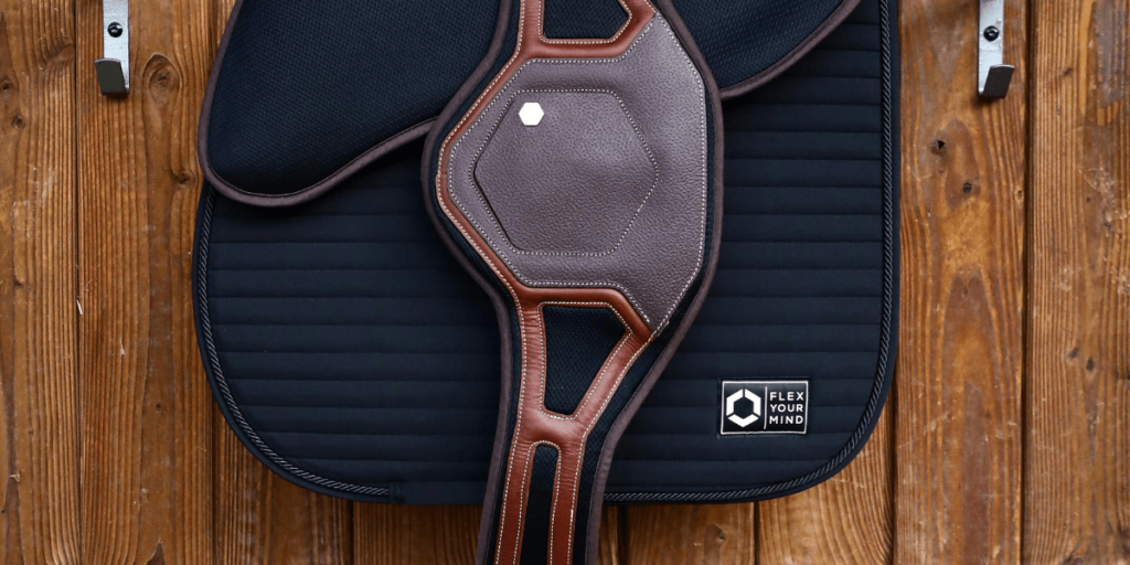 saddle bag