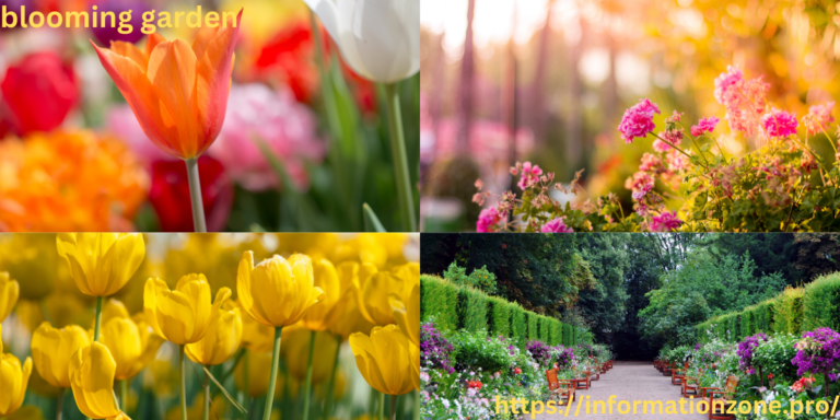 blooming garden