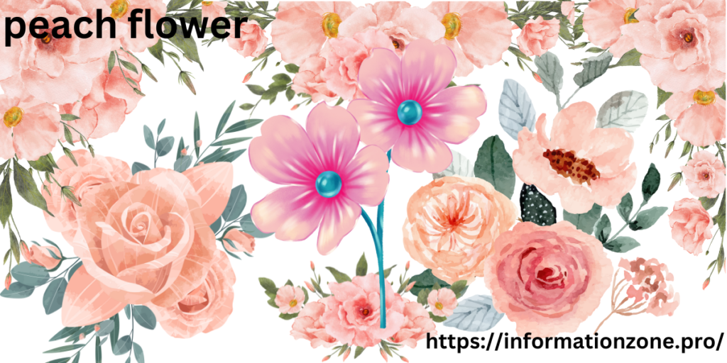 peach flower